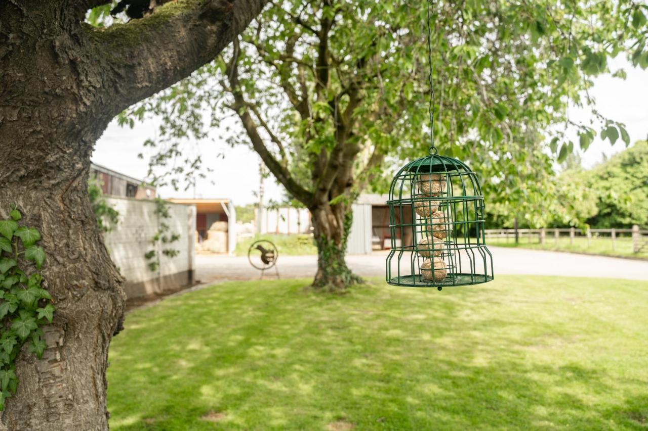 Pass The Keys The Lodge At Point House Farm - Sleeps Up To 6 Chester Exteriér fotografie